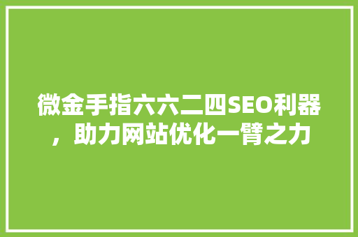 微金手指六六二四SEO利器，助力网站优化一臂之力