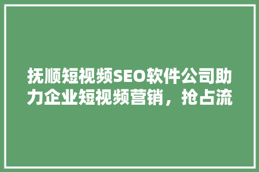 抚顺短视频SEO软件公司助力企业短视频营销，抢占流量红利