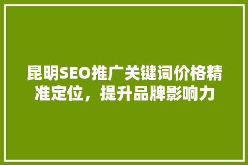 昆明SEO推广关键词价格精准定位，提升品牌影响力