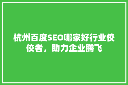 杭州百度SEO哪家好行业佼佼者，助力企业腾飞