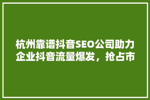 杭州靠谱抖音SEO公司助力企业抖音流量爆发，抢占市场先机