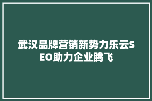 武汉品牌营销新势力乐云SEO助力企业腾飞