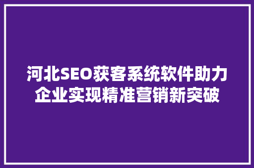河北SEO获客系统软件助力企业实现精准营销新突破