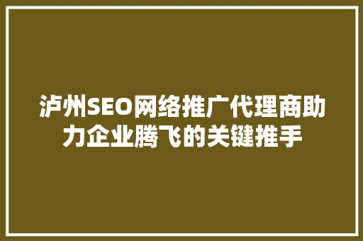 泸州SEO网络推广代理商助力企业腾飞的关键推手