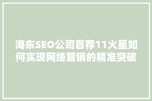 海东SEO公司首荐11火星如何实现网络营销的精准突破