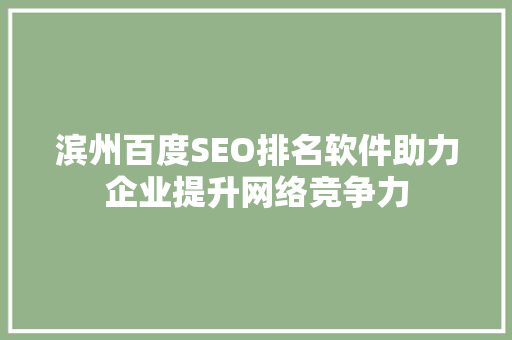 滨州百度SEO排名软件助力企业提升网络竞争力