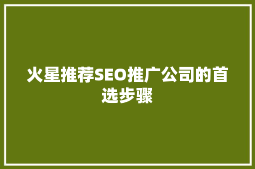 火星推荐SEO推广公司的首选步骤