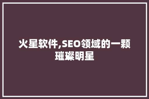 火星软件,SEO领域的一颗璀璨明星