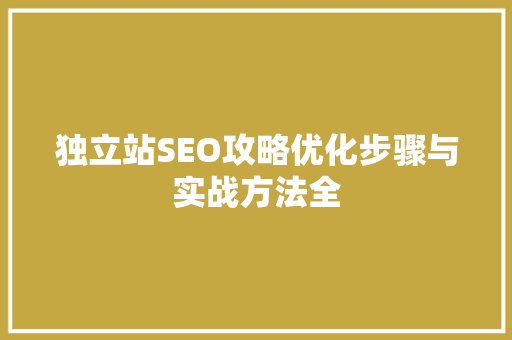 独立站SEO攻略优化步骤与实战方法全