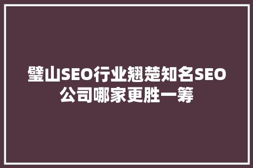 璧山SEO行业翘楚知名SEO公司哪家更胜一筹