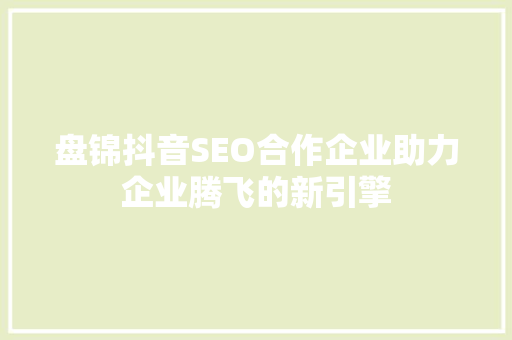 盘锦抖音SEO合作企业助力企业腾飞的新引擎