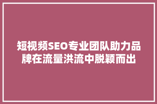 短视频SEO专业团队助力品牌在流量洪流中脱颖而出