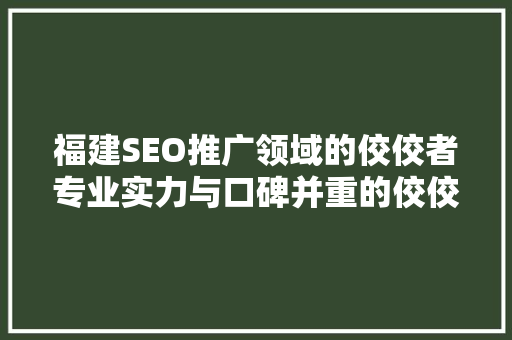 福建SEO推广领域的佼佼者专业实力与口碑并重的佼佼者