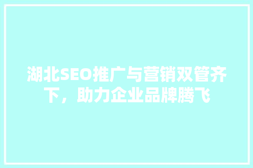 湖北SEO推广与营销双管齐下，助力企业品牌腾飞