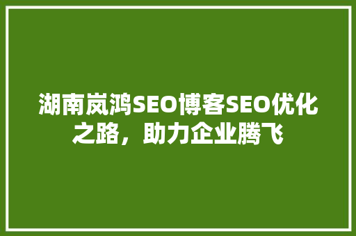湖南岚鸿SEO博客SEO优化之路，助力企业腾飞