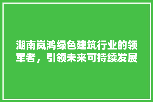 湖南岚鸿绿色建筑行业的领军者，引领未来可持续发展之路