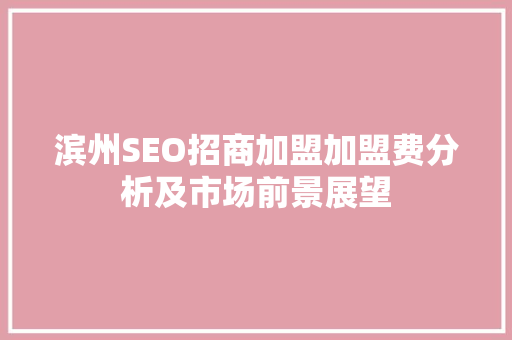 滨州SEO招商加盟加盟费分析及市场前景展望