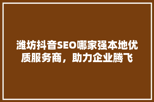 潍坊抖音SEO哪家强本地优质服务商，助力企业腾飞
