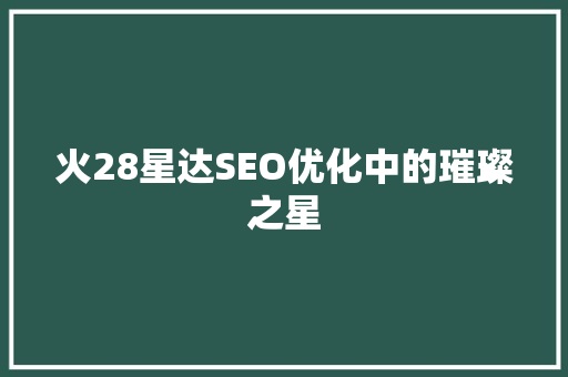 火28星达SEO优化中的璀璨之星