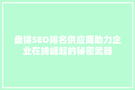 盘锦SEO排名供应商助力企业在线崛起的秘密武器