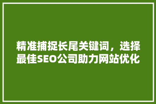 精准捕捉长尾关键词，选择最佳SEO公司助力网站优化