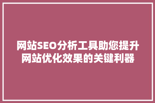 网站SEO分析工具助您提升网站优化效果的关键利器