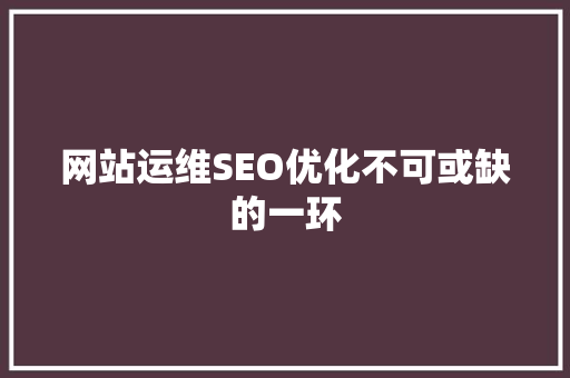 网站运维SEO优化不可或缺的一环