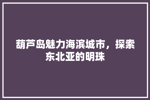 葫芦岛魅力海滨城市，探索东北亚的明珠