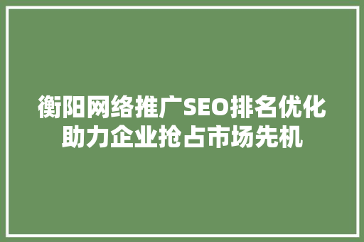 衡阳网络推广SEO排名优化助力企业抢占市场先机