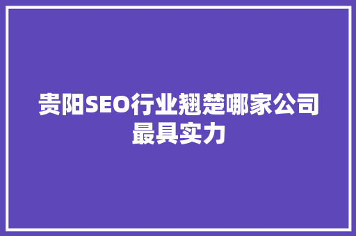 贵阳SEO行业翘楚哪家公司最具实力