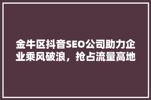 金牛区抖音SEO公司助力企业乘风破浪，抢占流量高地