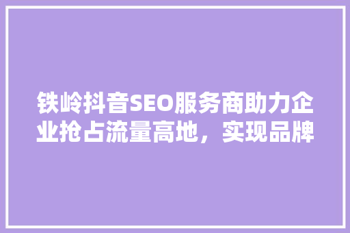铁岭抖音SEO服务商助力企业抢占流量高地，实现品牌价值最大化