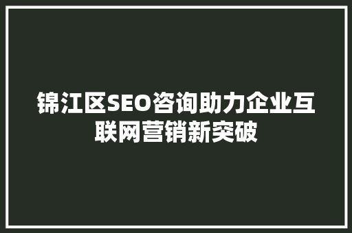 锦江区SEO咨询助力企业互联网营销新突破