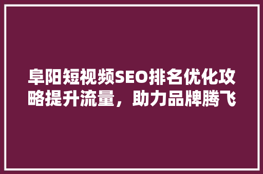 阜阳短视频SEO排名优化攻略提升流量，助力品牌腾飞