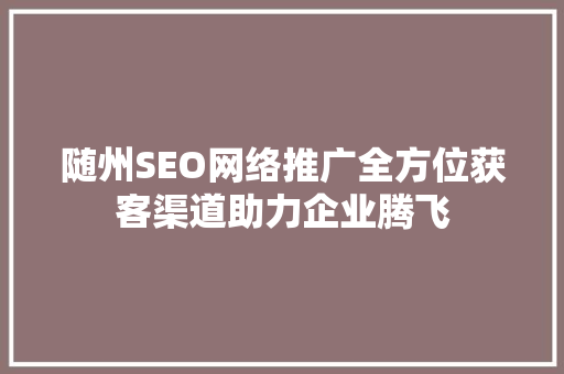 随州SEO网络推广全方位获客渠道助力企业腾飞