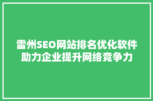 雷州SEO网站排名优化软件助力企业提升网络竞争力