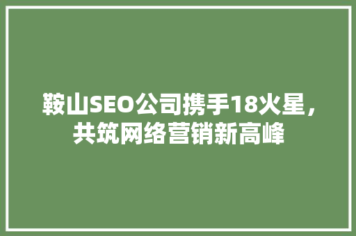 鞍山SEO公司携手18火星，共筑网络营销新高峰