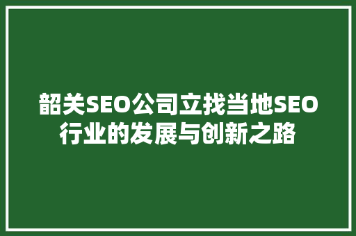 韶关SEO公司立找当地SEO行业的发展与创新之路