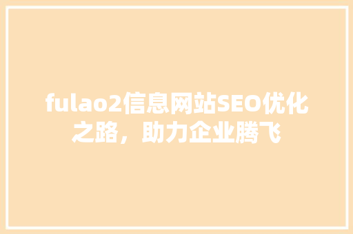 fulao2信息网站SEO优化之路，助力企业腾飞