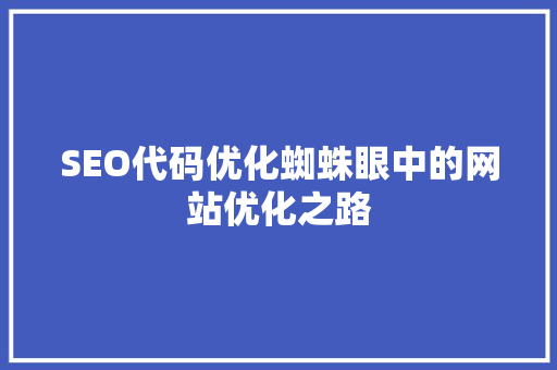 SEO代码优化蜘蛛眼中的网站优化之路