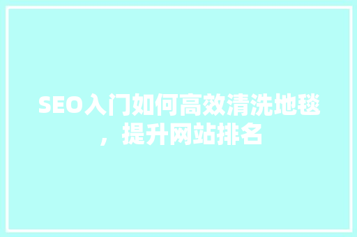 SEO入门如何高效清洗地毯，提升网站排名