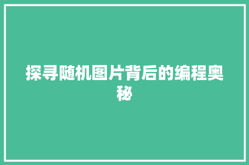 探寻随机图片背后的编程奥秘  第1张