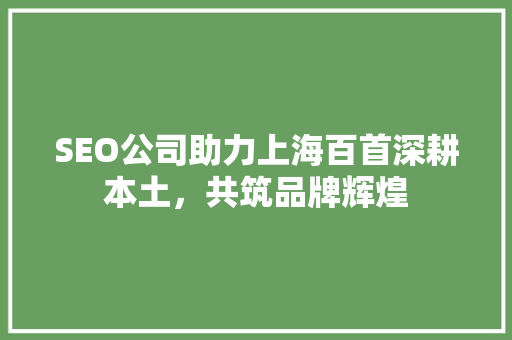 SEO公司助力上海百首深耕本土，共筑品牌辉煌