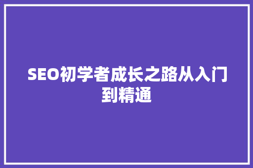 SEO初学者成长之路从入门到精通