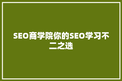 SEO商学院你的SEO学习不二之选