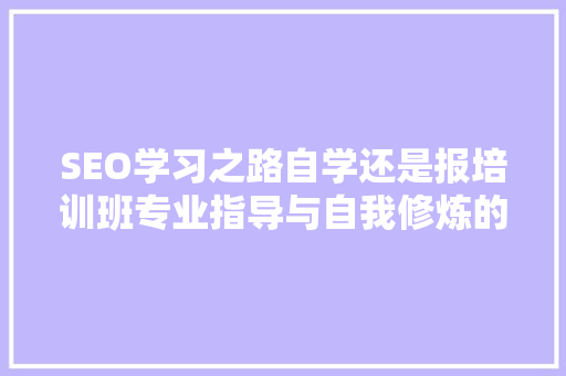 SEO学习之路自学还是报培训班专业指导与自我修炼的分析