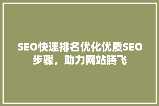 SEO快速排名优化优质SEO步骤，助力网站腾飞