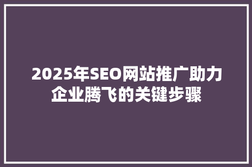2025年SEO网站推广助力企业腾飞的关键步骤