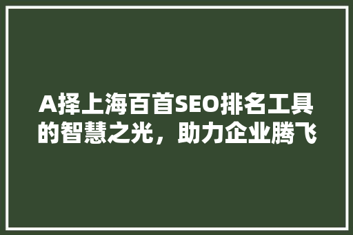 A择上海百首SEO排名工具的智慧之光，助力企业腾飞