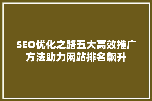 SEO优化之路五大高效推广方法助力网站排名飙升